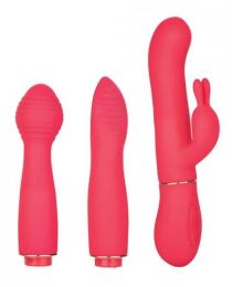 In Touch Dynamic Trio Pink Vibrator Kit (SKU: SE444410)